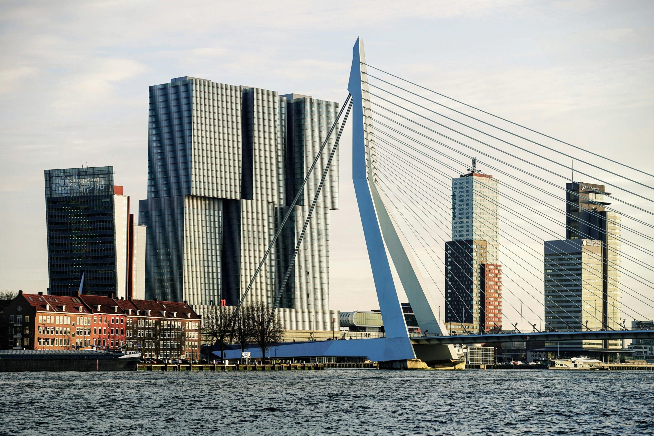 Picture showing the skyline of Rotterdam behind the Erasmus bridge. You can redefine succes by living aligned with your purpose