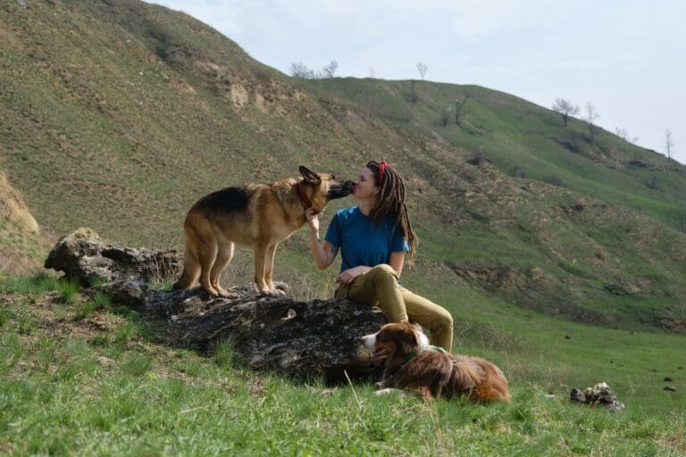 shutterstock 2282433631