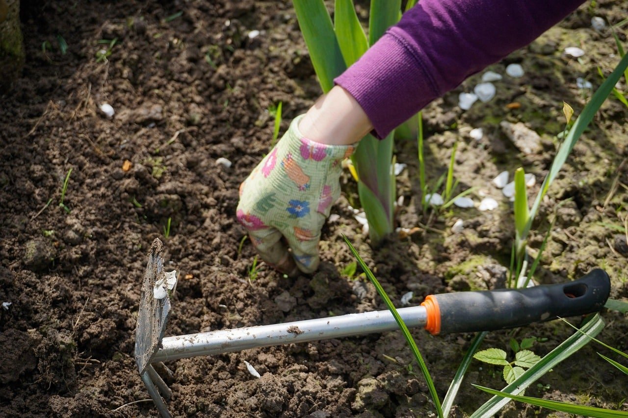 Person working in the garden. Growing your own food has health benefits